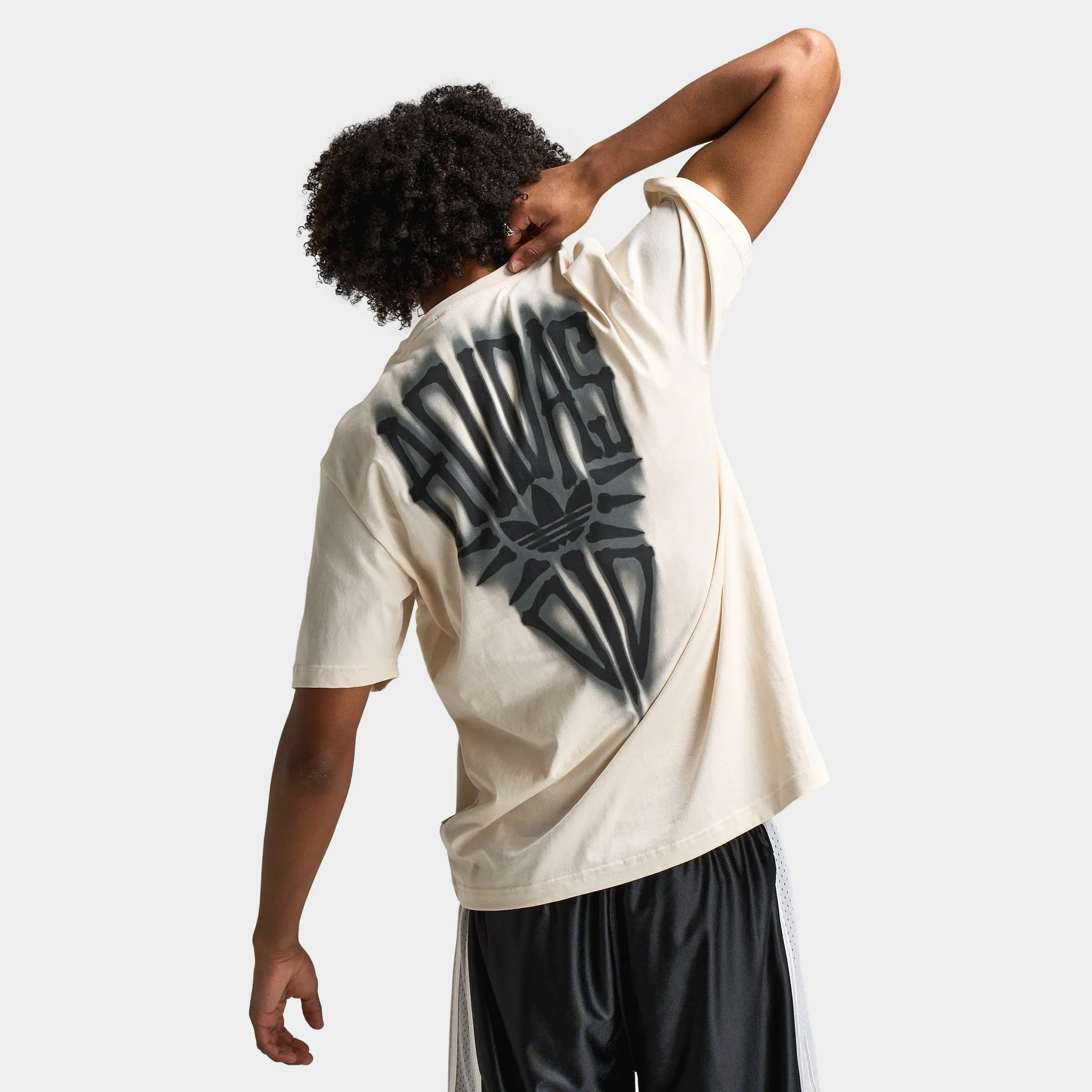 adidas Skeleton Graphic T-Shirt / Wonder White