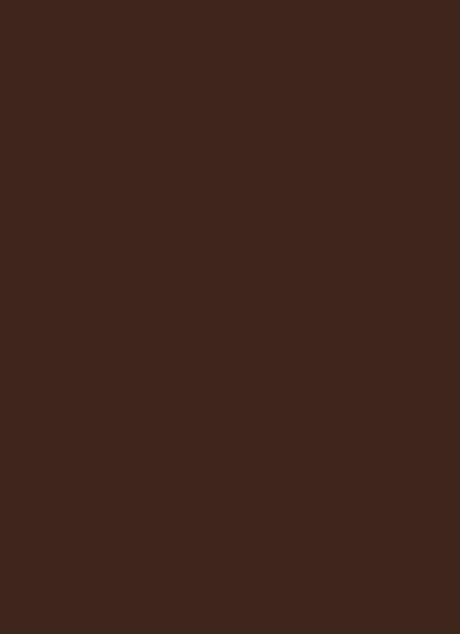 Basic Turtleneck Long Sleeve Top