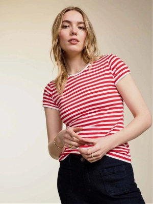 Baukjen Essentials Organic Cotton Slim Tee | Crimson & Pure White