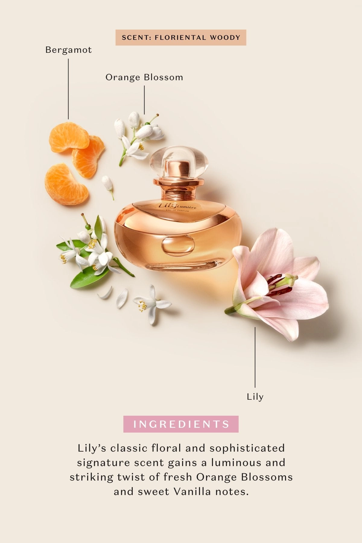 Lily Lumière Eau de Parfum 30ml