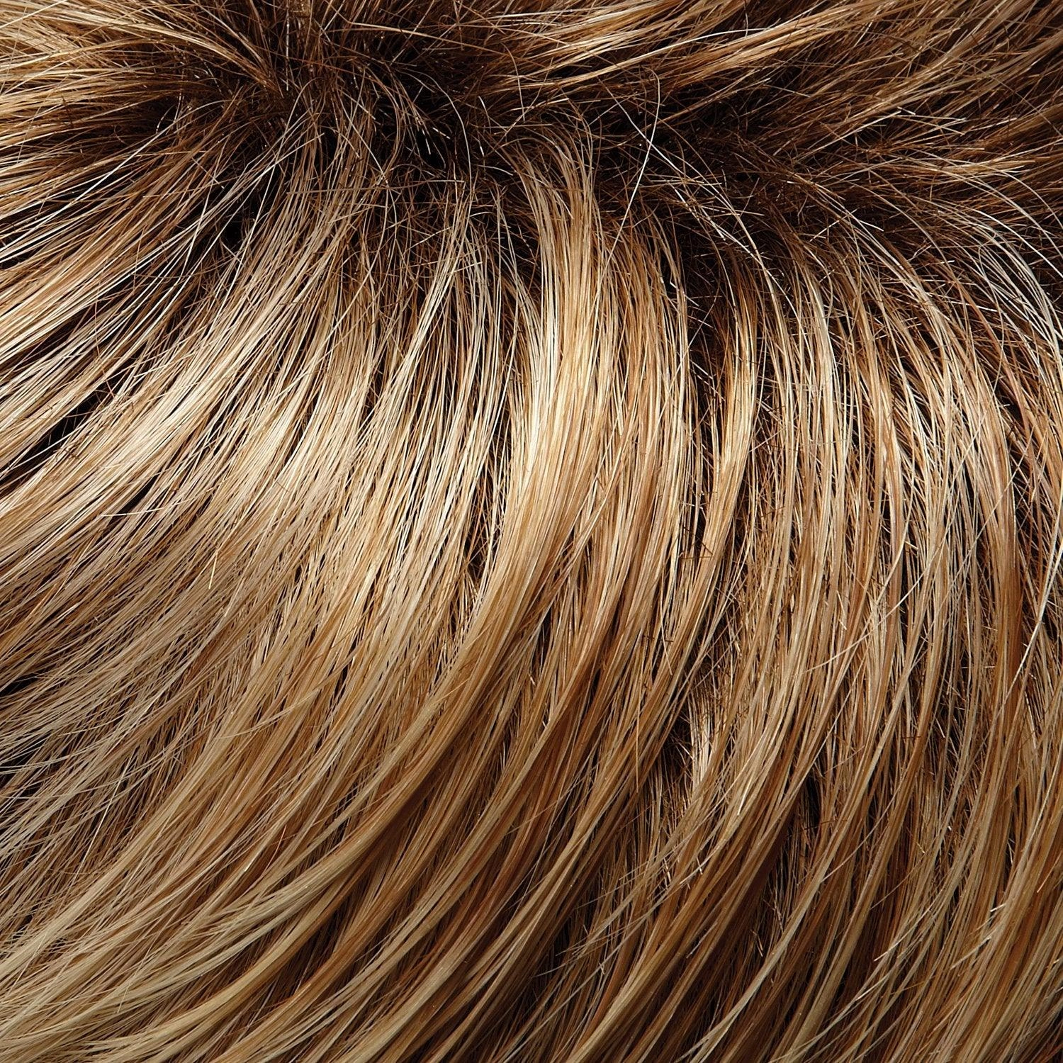 Petite Gabrielle Wig by Jon Renau | Synthetic (Lace Front Hand Tied Monofilament)
