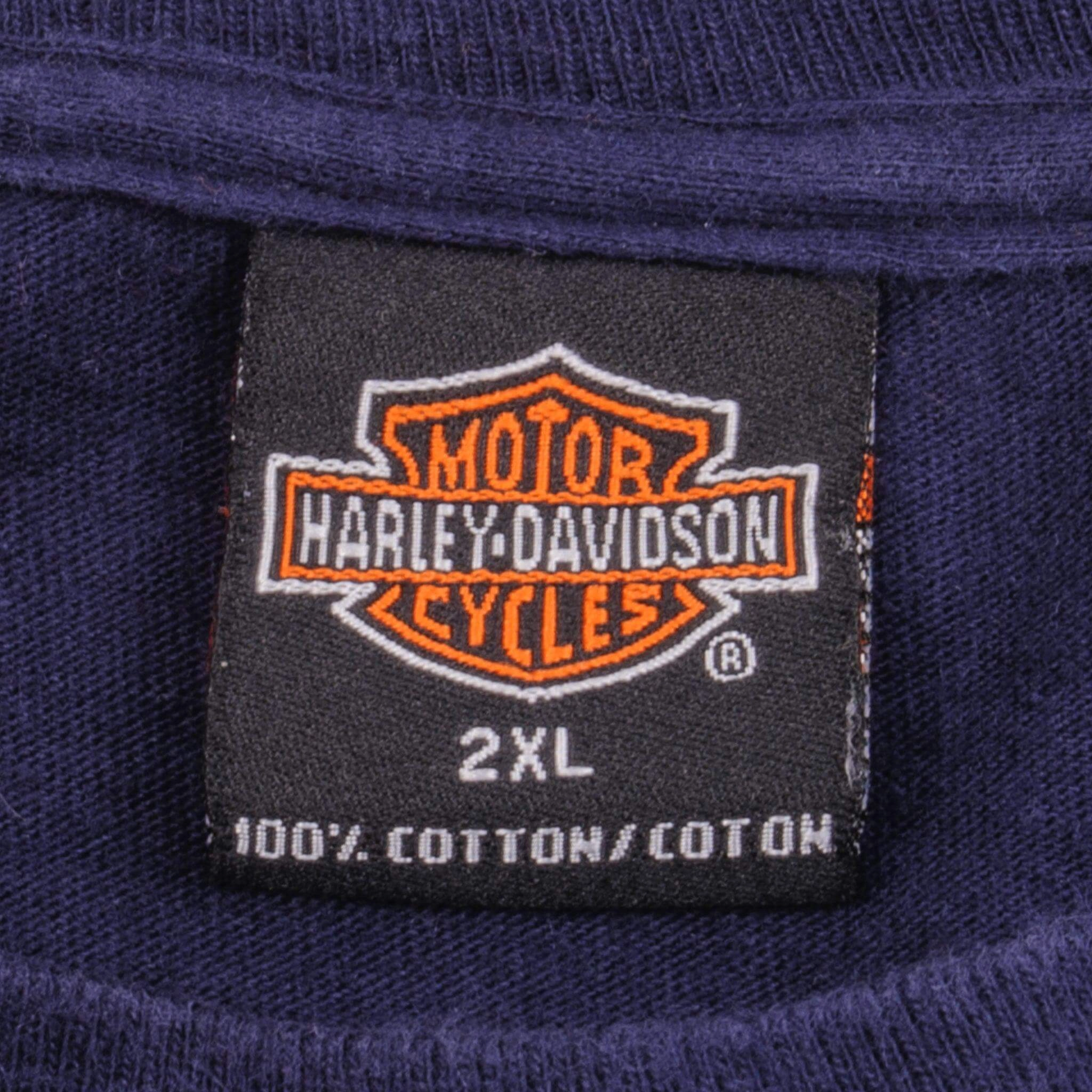 VINTAGE HARLEY DAVIDSON DRAGON 2001 TEE SHIRT SIZE XL MADE IN USA