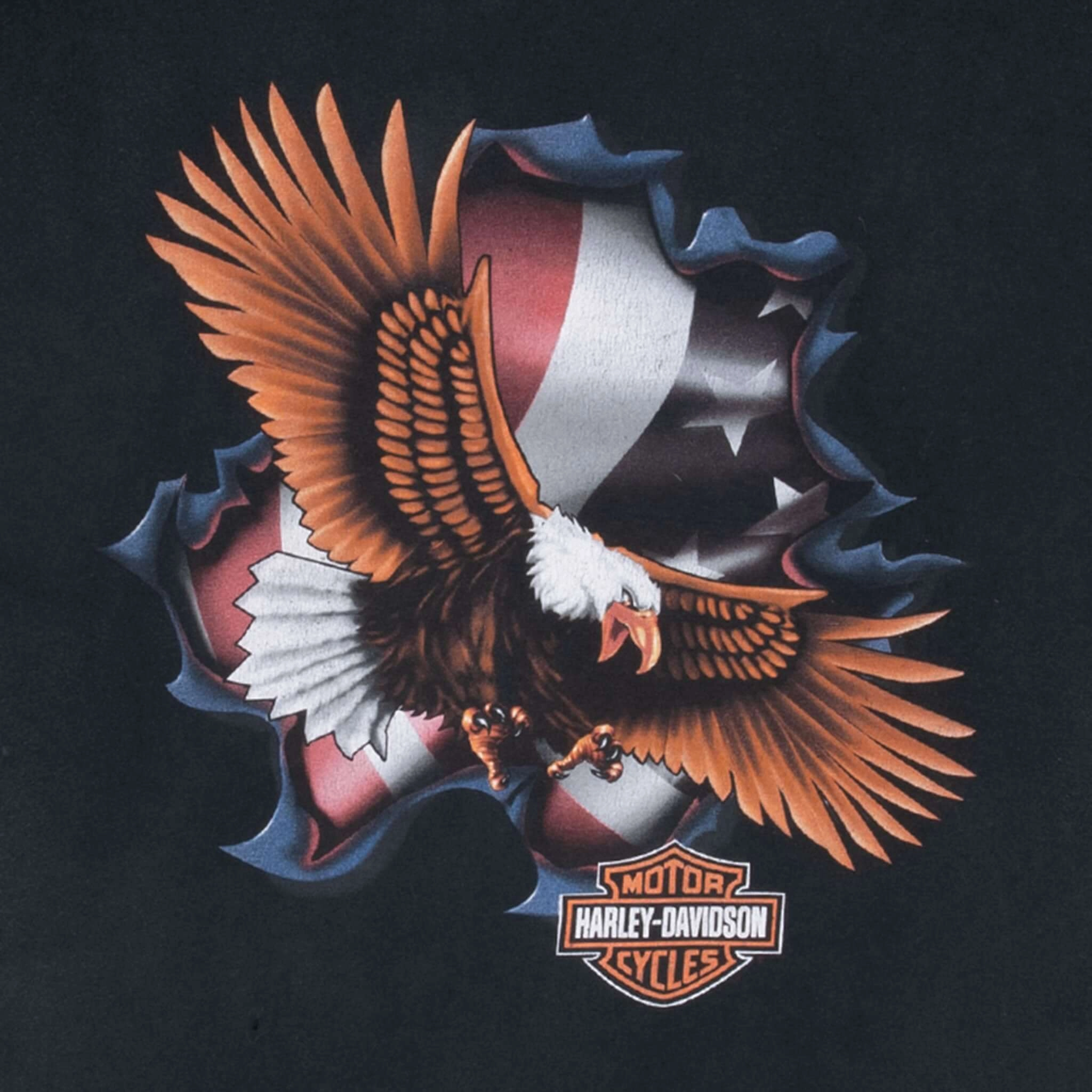 VINTAGE HARLEY DAVIDSON EAGLE VIRGINIA BEACH 2004 TEE SHIRT 2XL