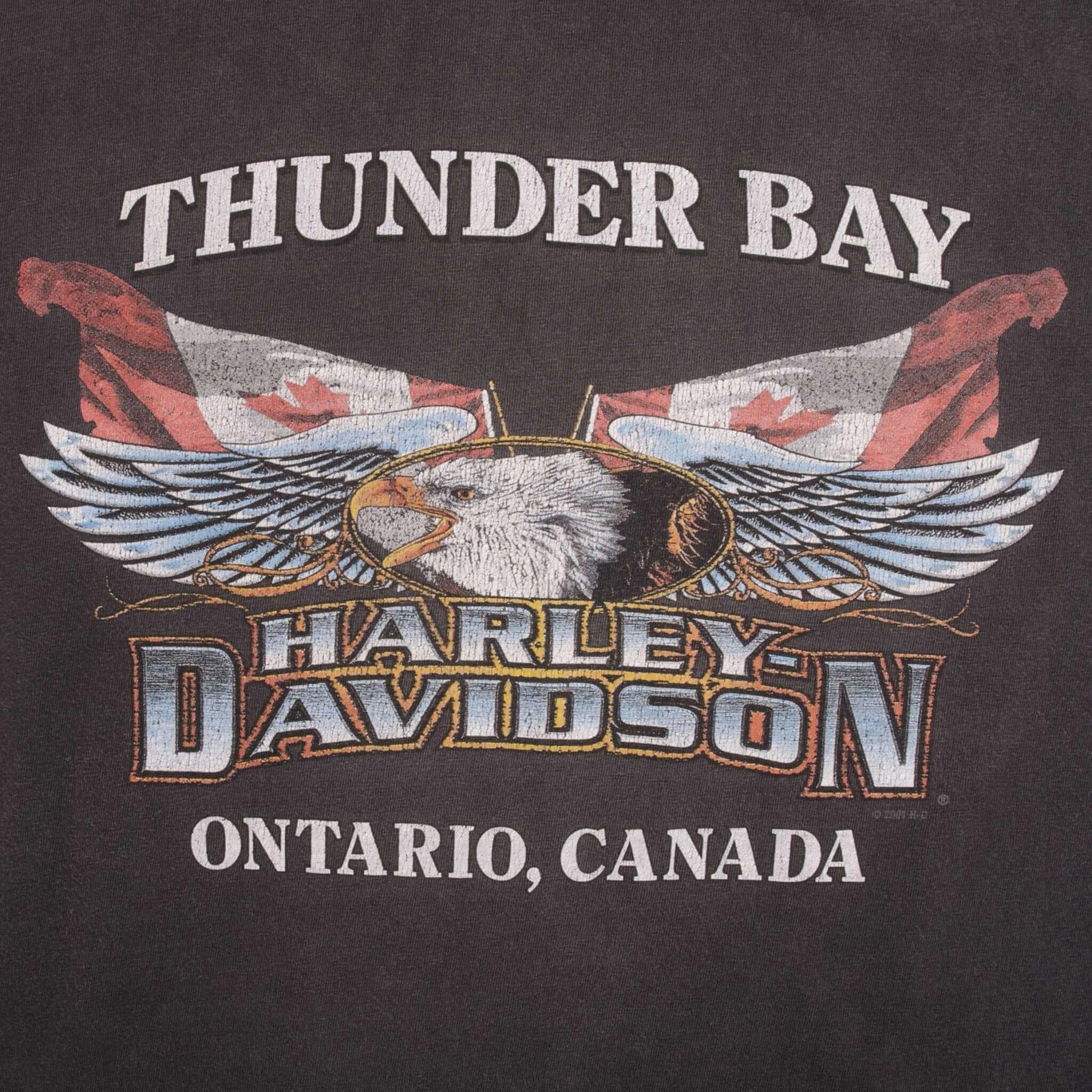 VINTAGE HARLEY DAVIDSON HI-WAY CAFE TEE SHIRT 2001 SIZE XL