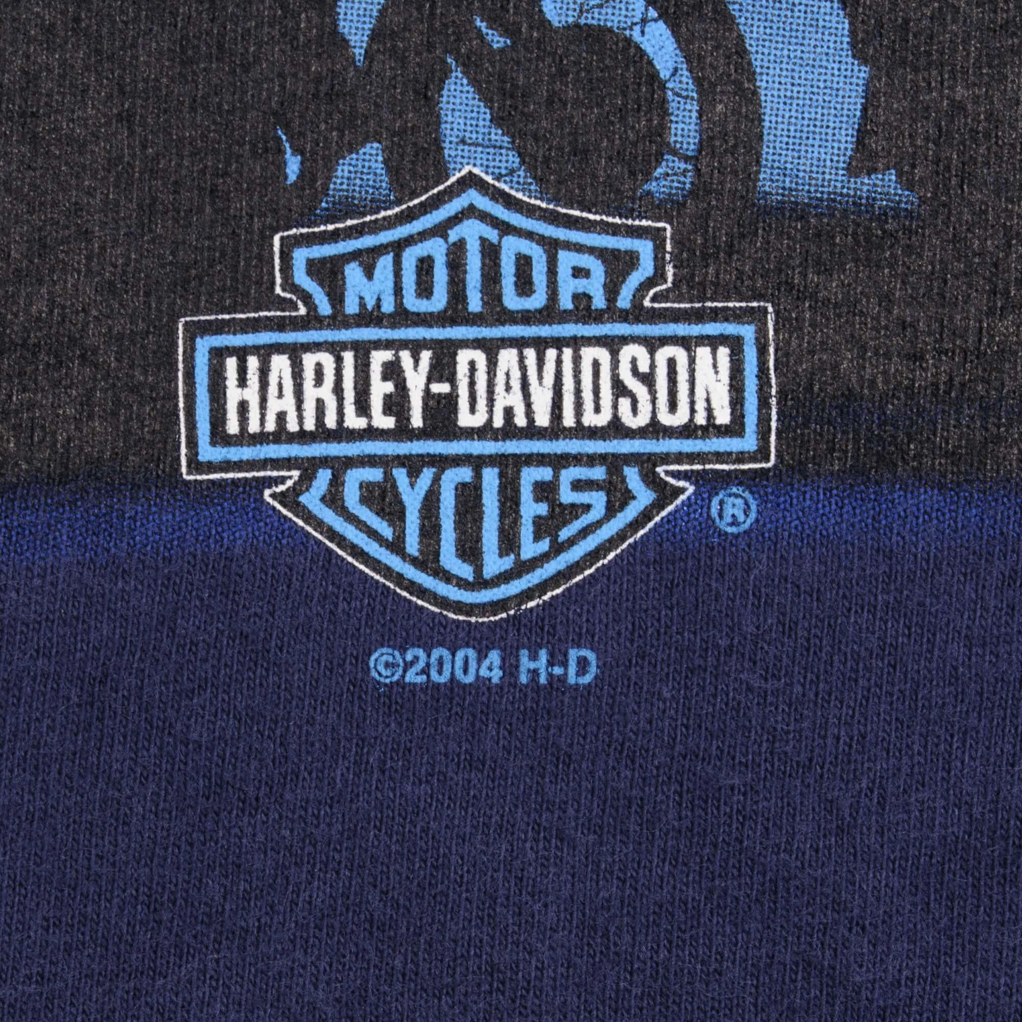 VINTAGE HARLEY DAVIDSON RICHMOND VA TEE SHIRT 2004 SIZE XL MADE IN USA