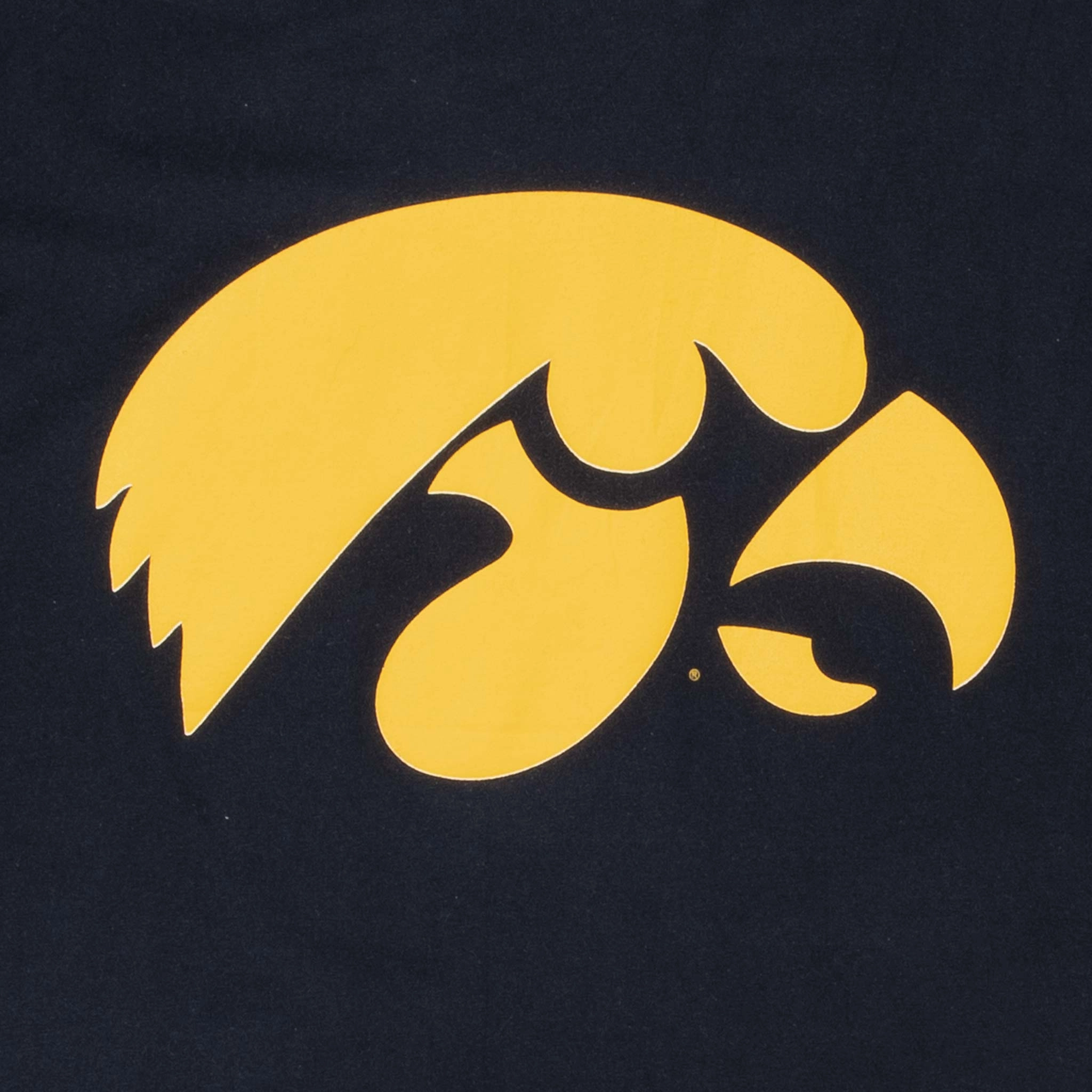 VINTAGE NIKE NCAA UNIVERSITY OF IOWA 2000S TEE SHIRT MEDIUM