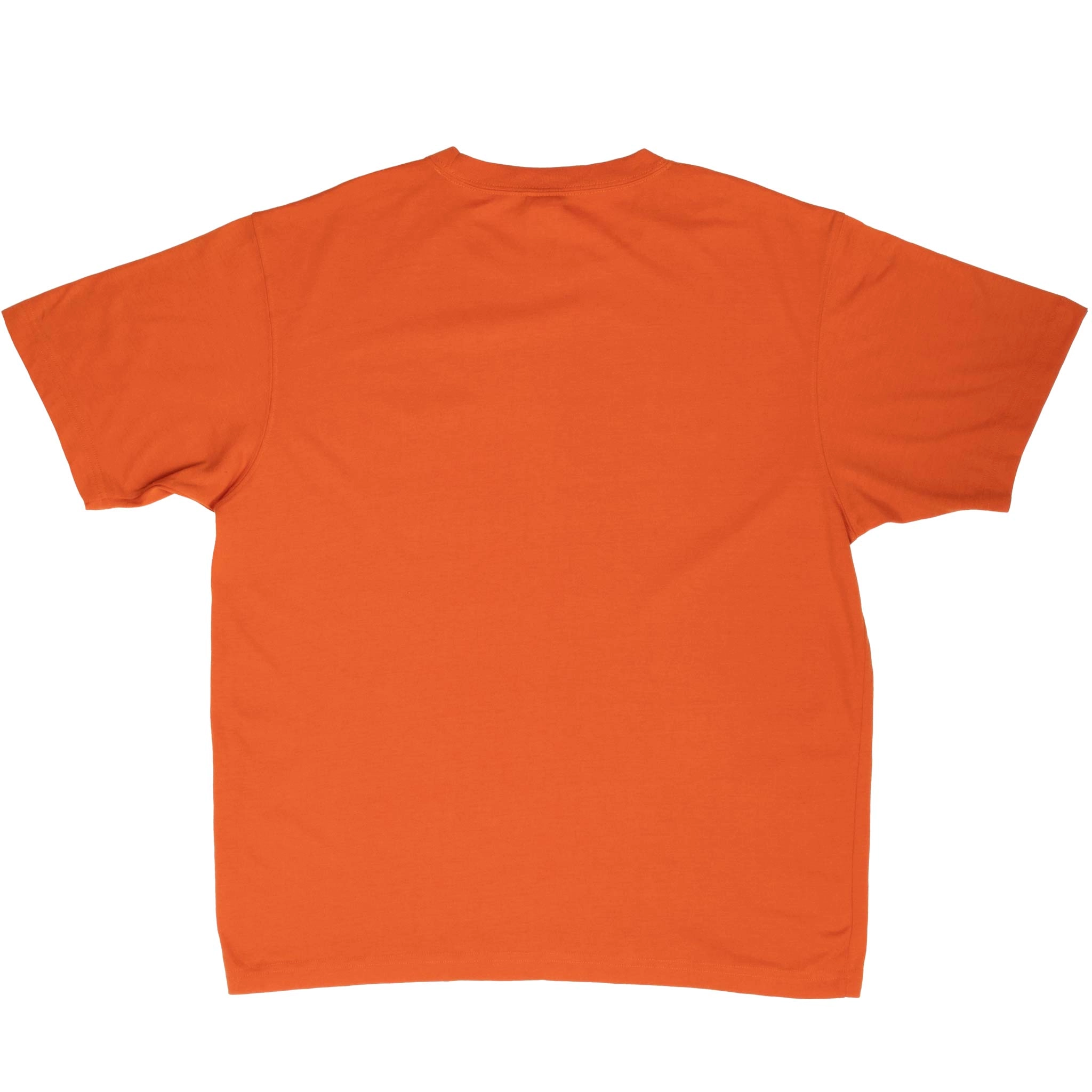 VINTAGE THE NORTH FACE ORANGE TEE SHIRT 2000S LARGE